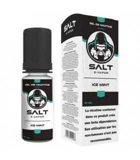 E liquide Ice Mint Salt - E-Vapor